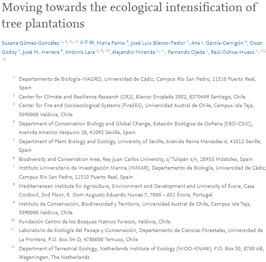 Moving towards the ecological intensification of tree plantations