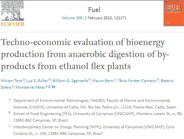 Techno-economic evaluation of bioenergy production from anaerobic digestion of by-products from ethanol flex plant