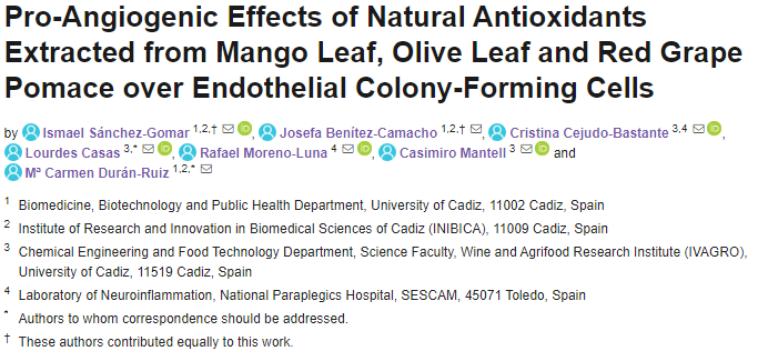 Pro-Angiogenic Effects of Natural Antioxidants Extracted from Mango Leaf, Olive Leaf and Red Grape Pomace over Endothelial Colony-Forming Cells