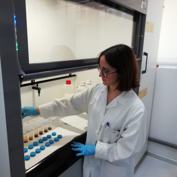 Manipulando muestras