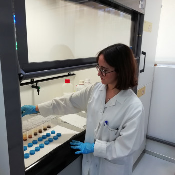 Manipulando muestras